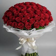 Букет 101 Красная роза Блэк Мэджик в Шексне