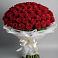 Букет 101 Красная роза Блэк Мэджик в Шексне