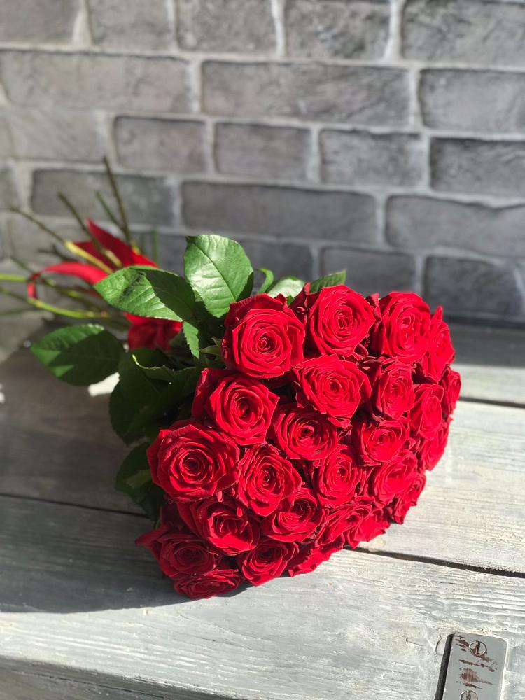 Букет Красные розы Фридом в Шексне