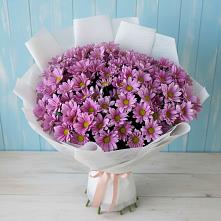 Букет сиреневая охапка в Шексне Букет цветов из:  Хризантемы в Шексне