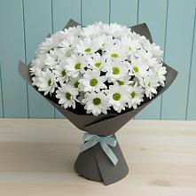 Букет белые хризантемы в Шексне Букет цветов из:  Хризантемы в Шексне