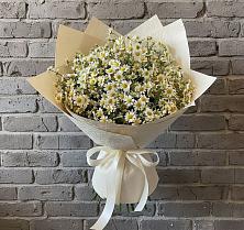 Букет цветов из:  Ромашки в Шексне
