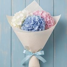 Букет цветов из:  Гортензия в Шексне