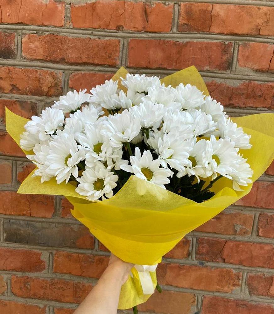 Букет цветов из: Хризантемы в Шексне