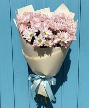 Букет Розовые хризантемы в Шексне Букет цветов из:  Хризантемы в Шексне