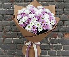 Букет грани совершенства в Шексне Букет цветов из:  Хризантемы в Шексне