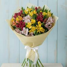 Букет цветов из:  Альстромерии в Шексне