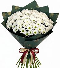 Букет море ромашек в Шексне Букет цветов из:  Хризантемы в Шексне