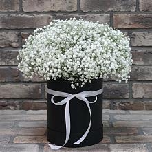Цветочная композиция из Гипсофила в шляпной коробке в Шексне