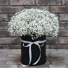 Композиция коробка гипсофил в Шексне Цветочная композиция из Гипсофила в шляпной коробке в Шексне